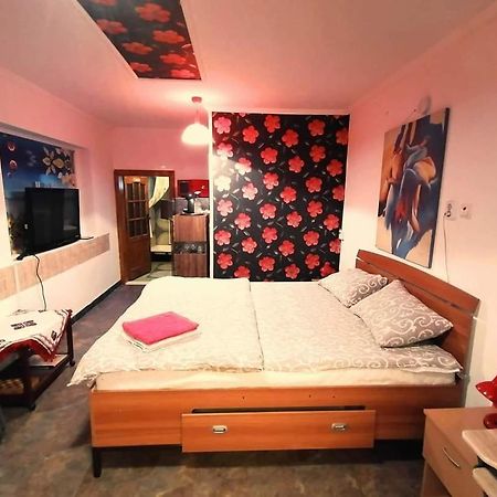 Hostel Pascalis Alesd 客房 照片
